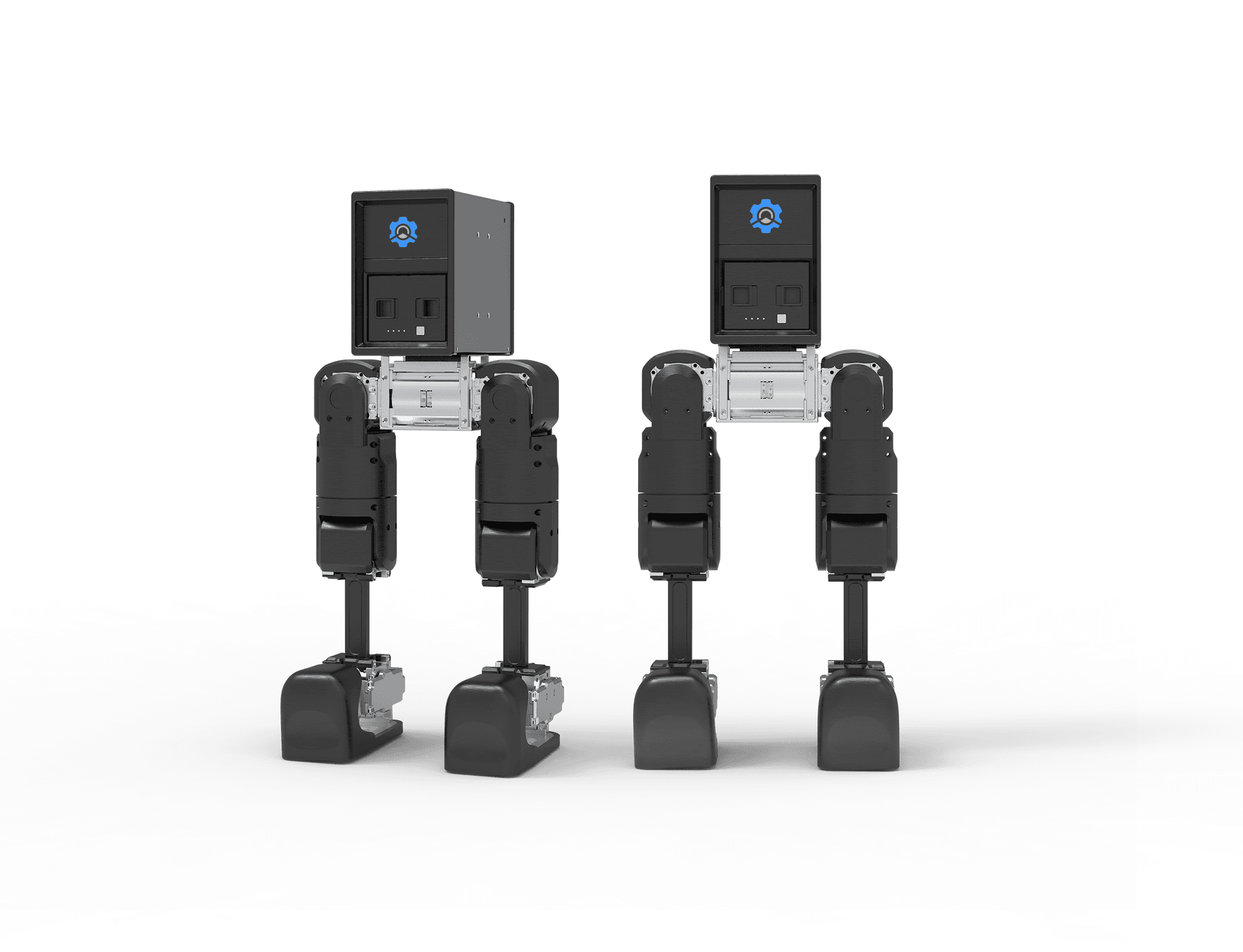 Bipedal Robot Mini Pi